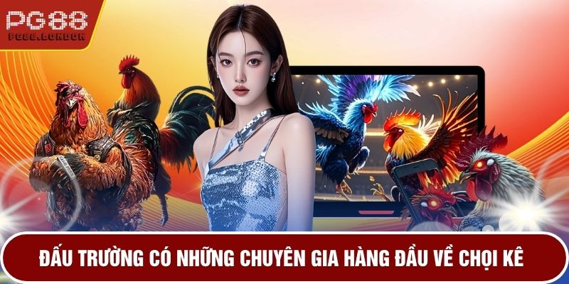 Đấu trường có những chuyên gia hàng đầu về chọi kê